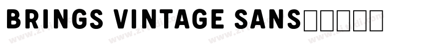brings vintage sans字字体转换